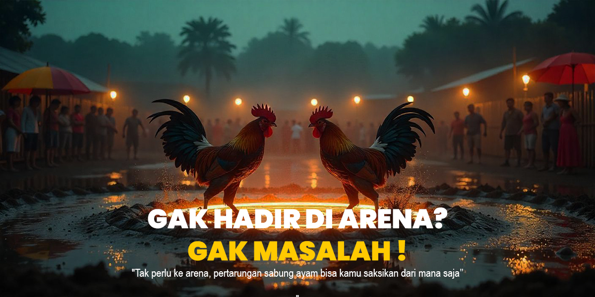 Menyelami Dunia Togel: Panduan Lengkap untuk Pemula dan Penggemar